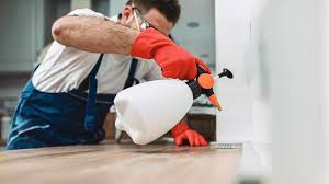 Real Estate Pest Inspections in Emerson, NJ